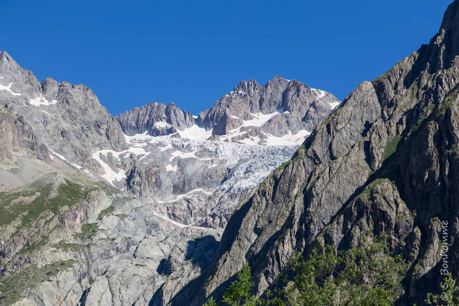 Glacier blanc vu depuis le Pré de Mme Carle