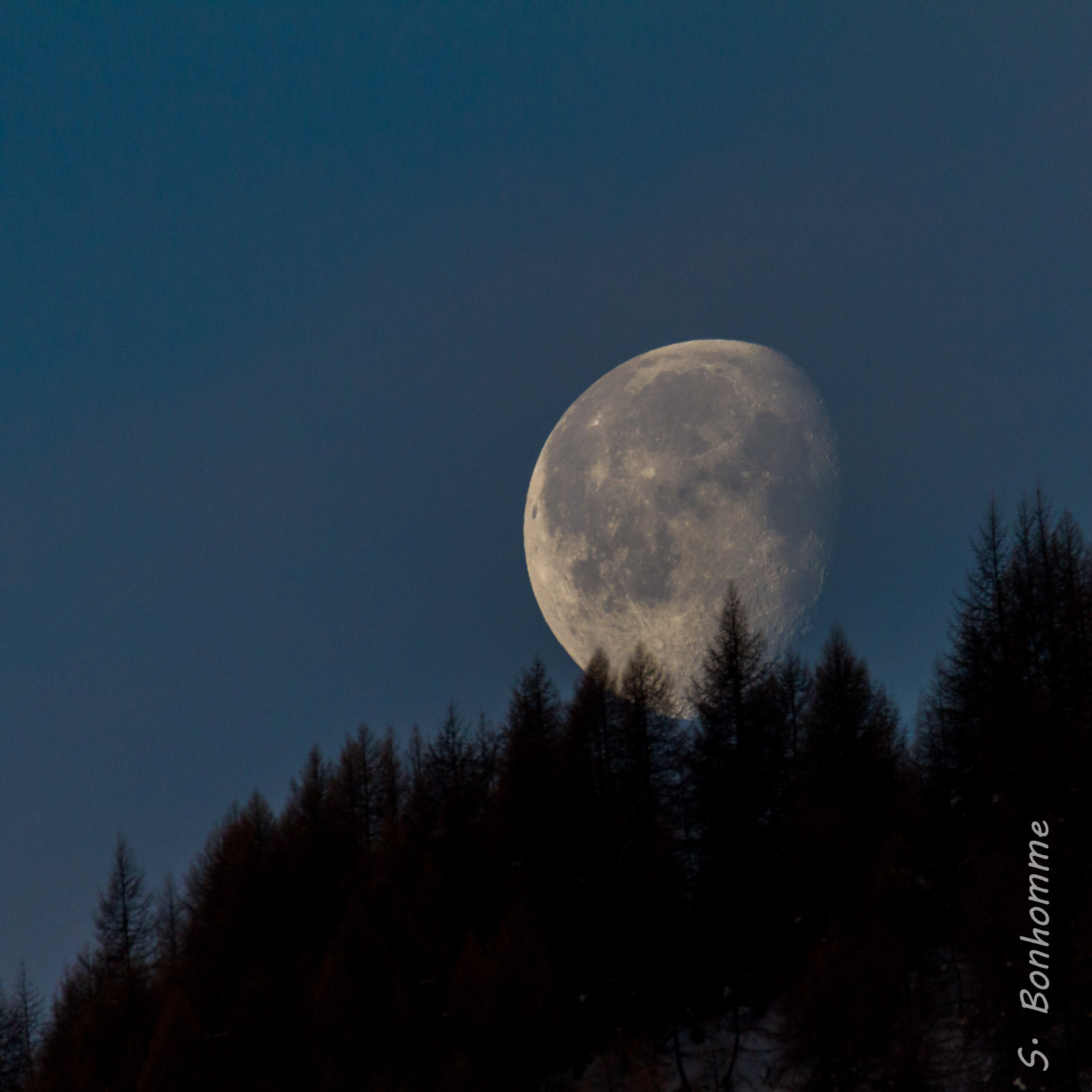 Lune matinale