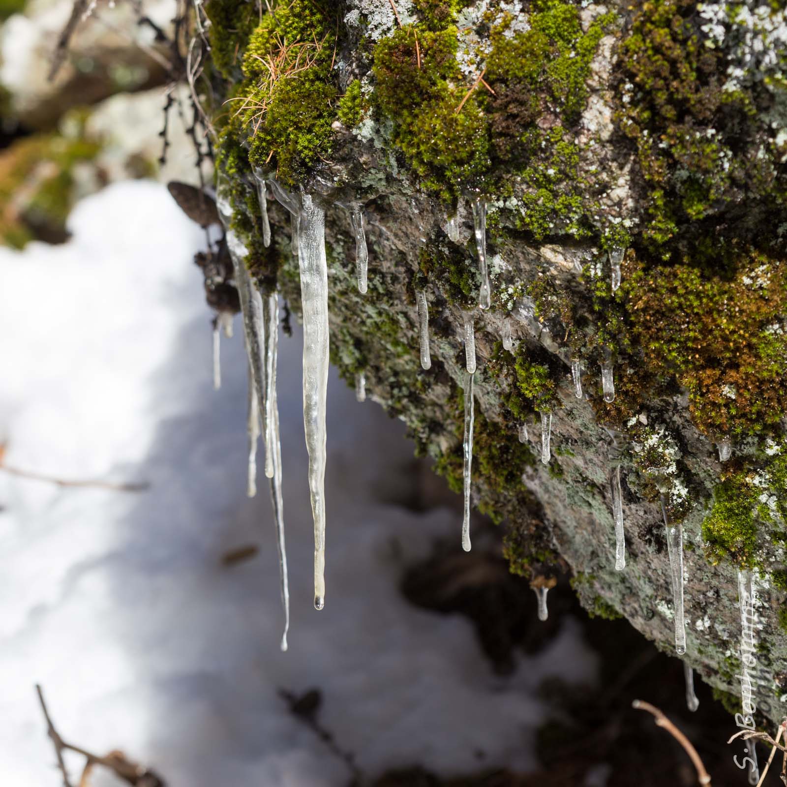 Stalactites