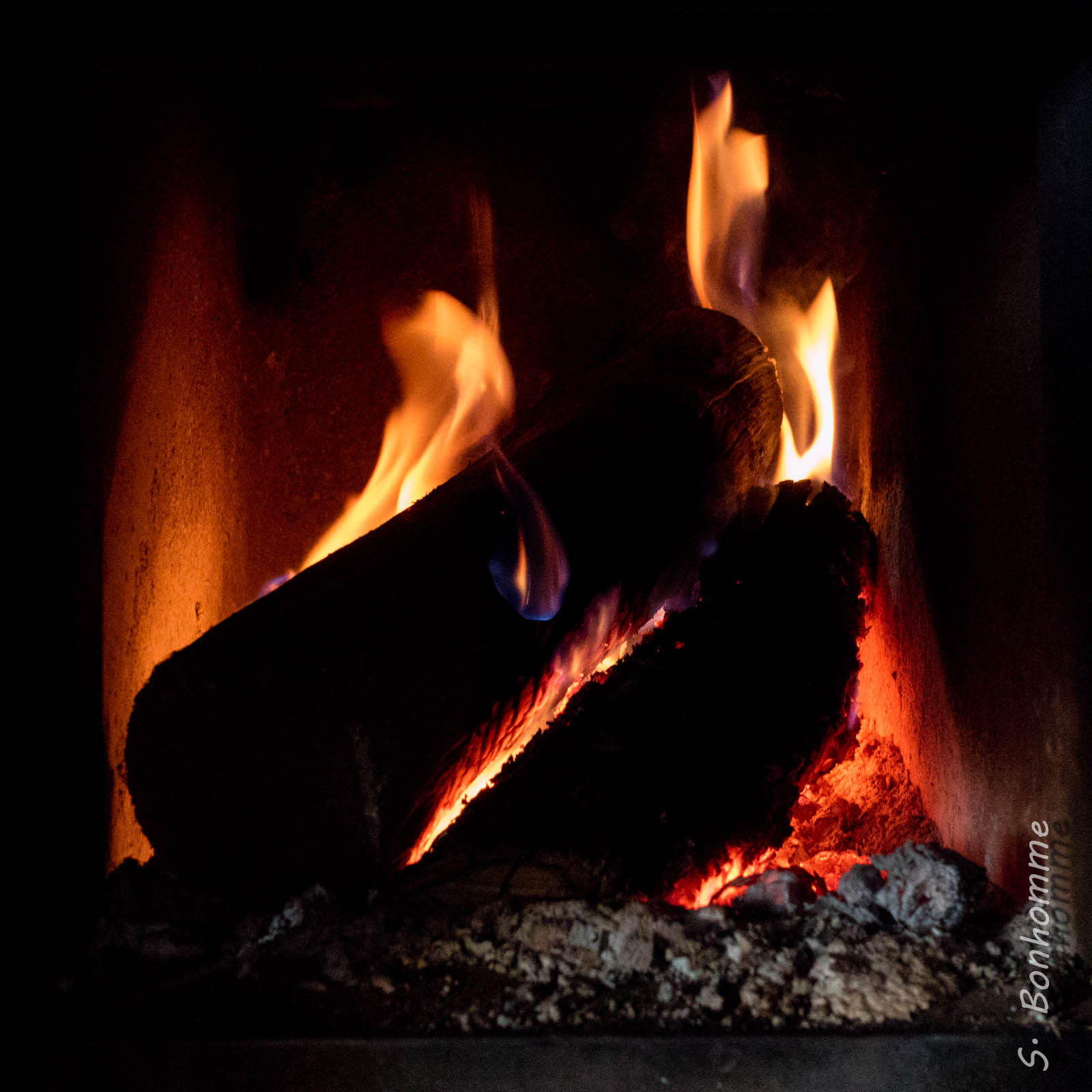 Feu de bois