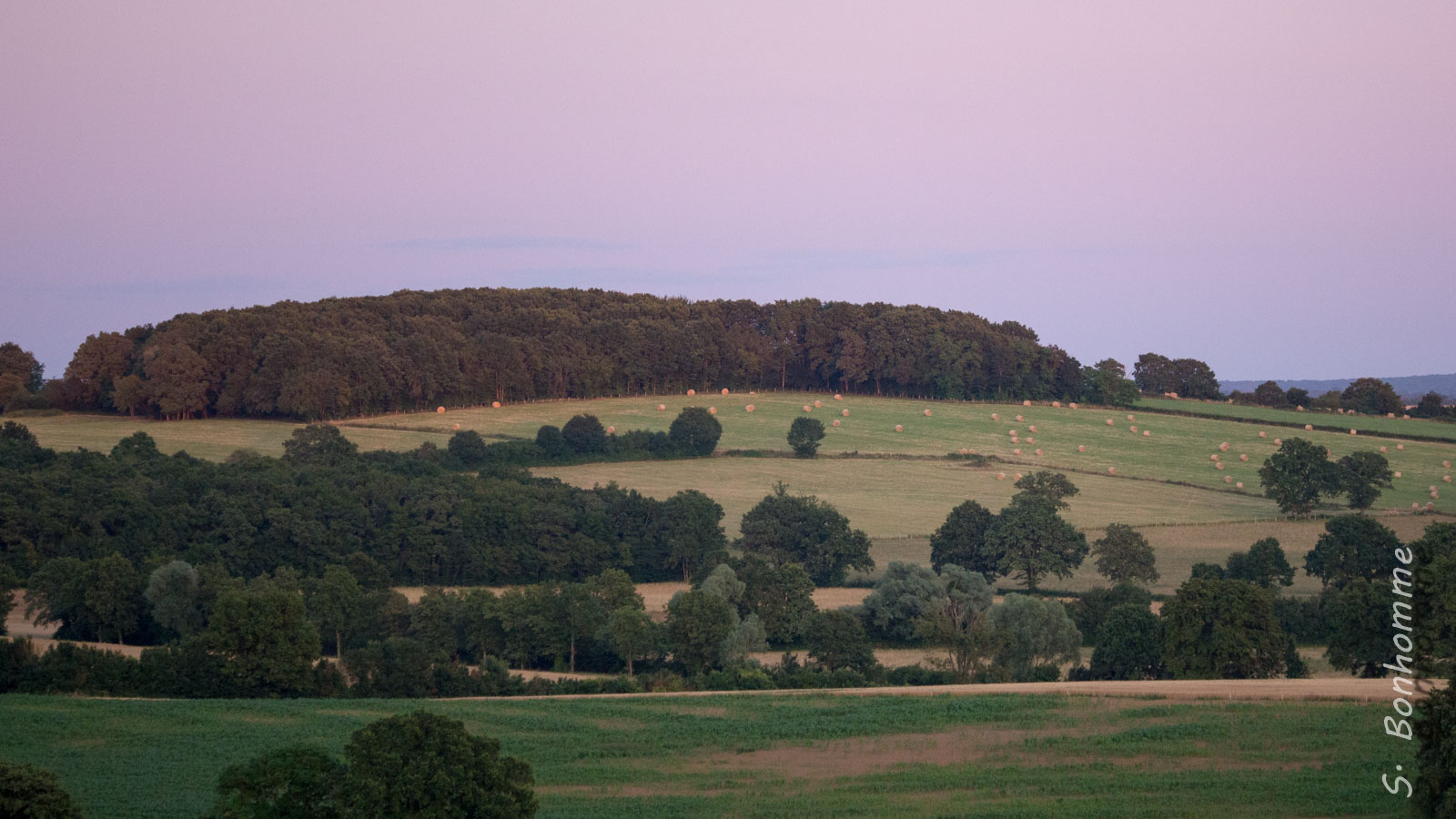 Paysage nivernais