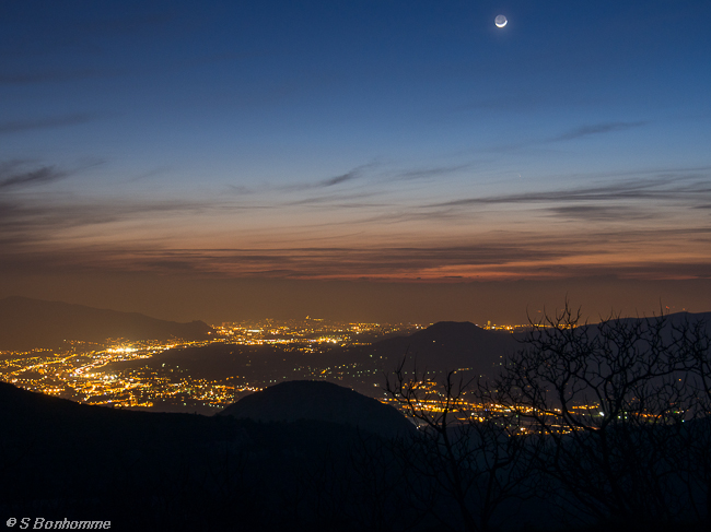 Marseille Pansstarrs