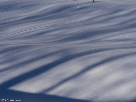 Rayures sur neige