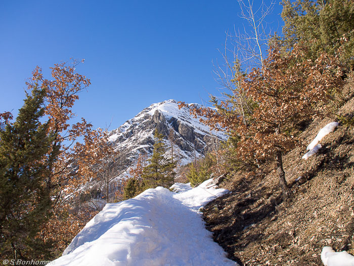 Chemin enneigé