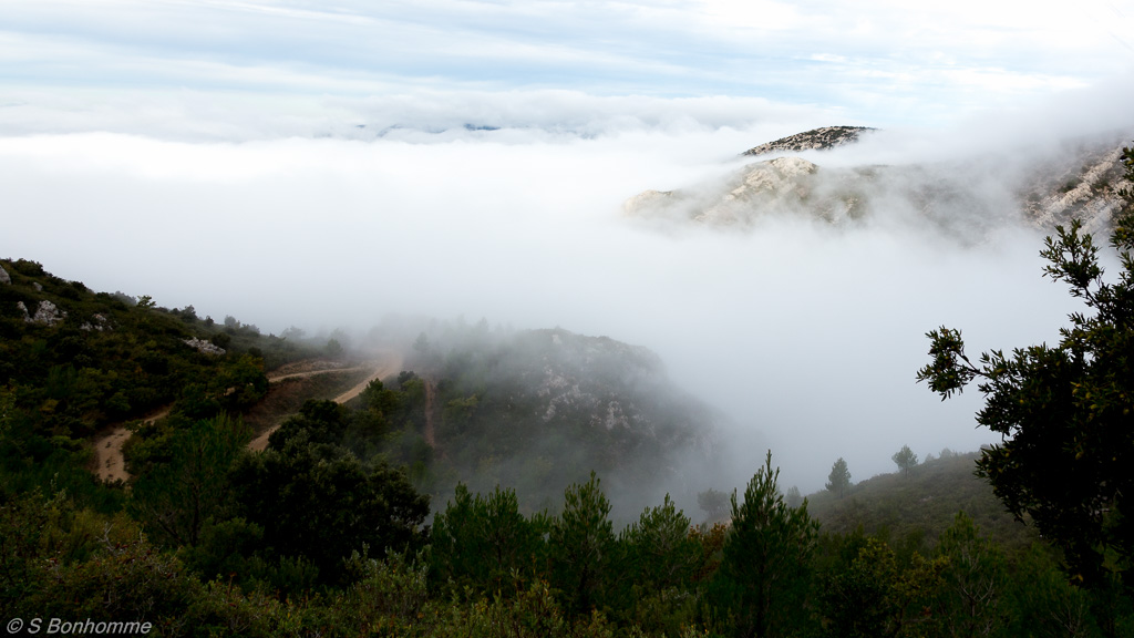 Brume vue d'en haut